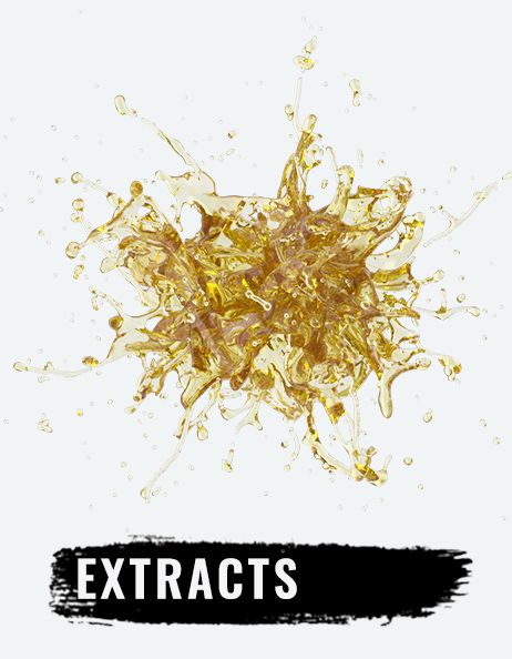 Extracts Dabs Edgewater